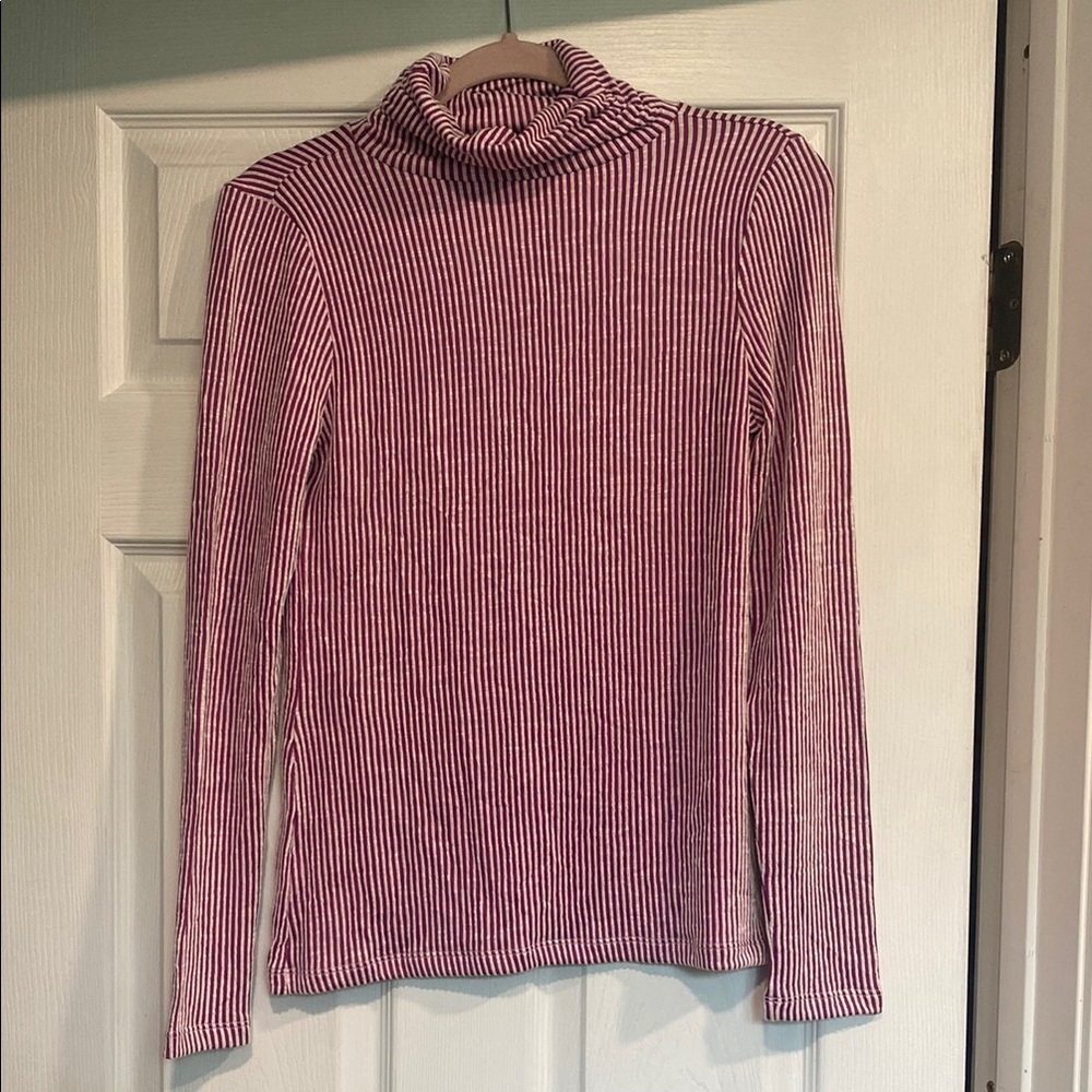 Apricot Lane Plum and White Stripe Ribbed Turtleneck